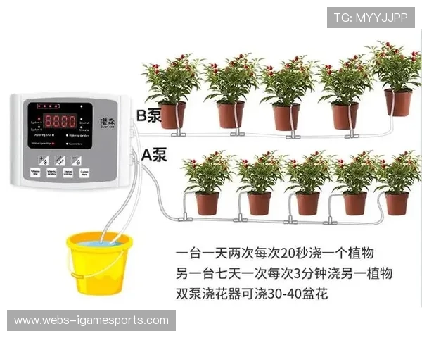 智能花盆美化赛事环境，植物养护自动化实现